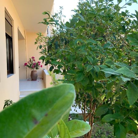 Antonis Chania City Family House Eksteriør bilde